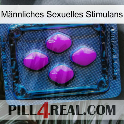 Männliches Sexuelles Stimulans 04